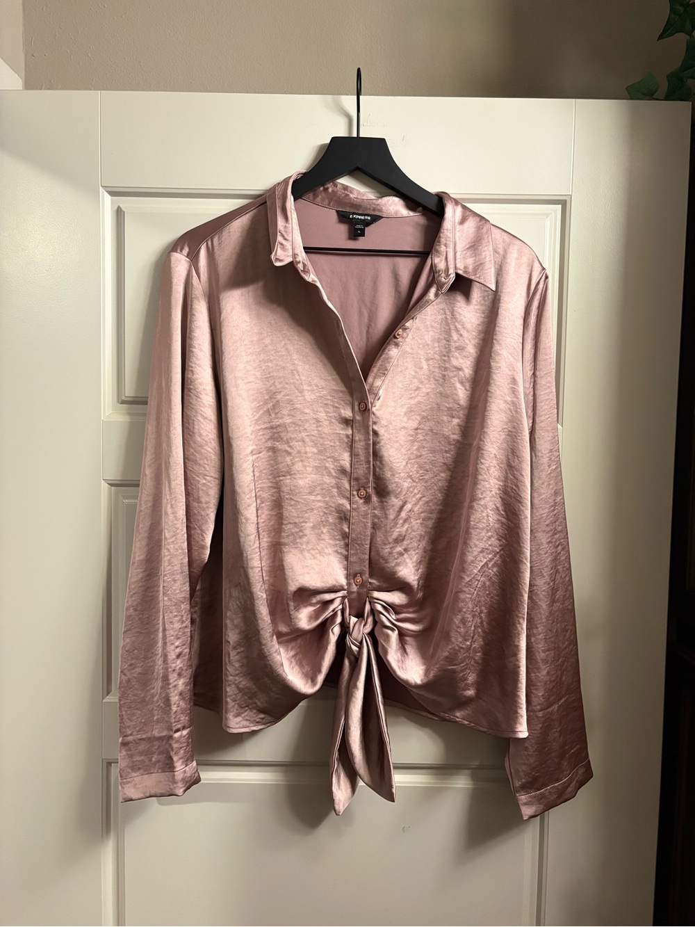 Express Blush Pink Satin Tie-Front Button Down Shirt